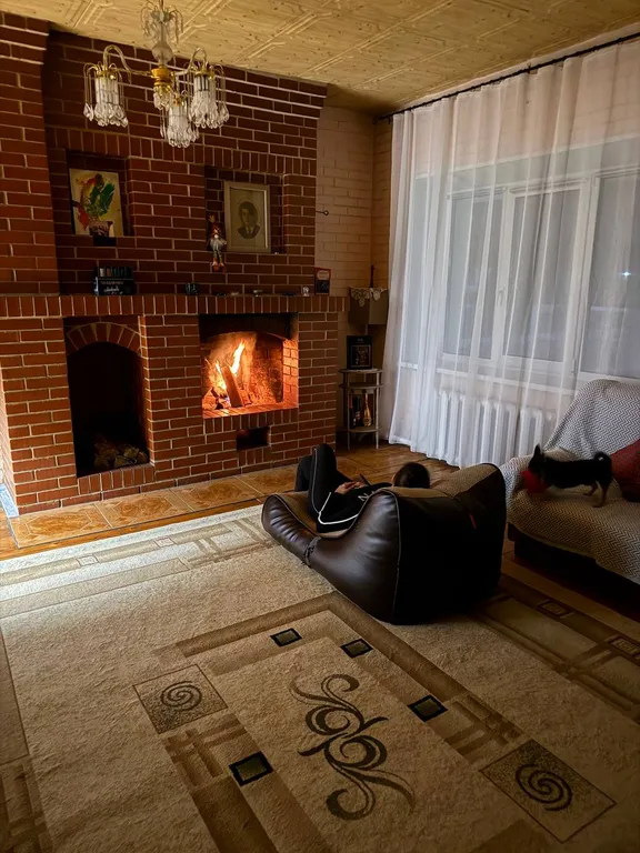 Дом с камином на дровах, баня на берёзовых дровах