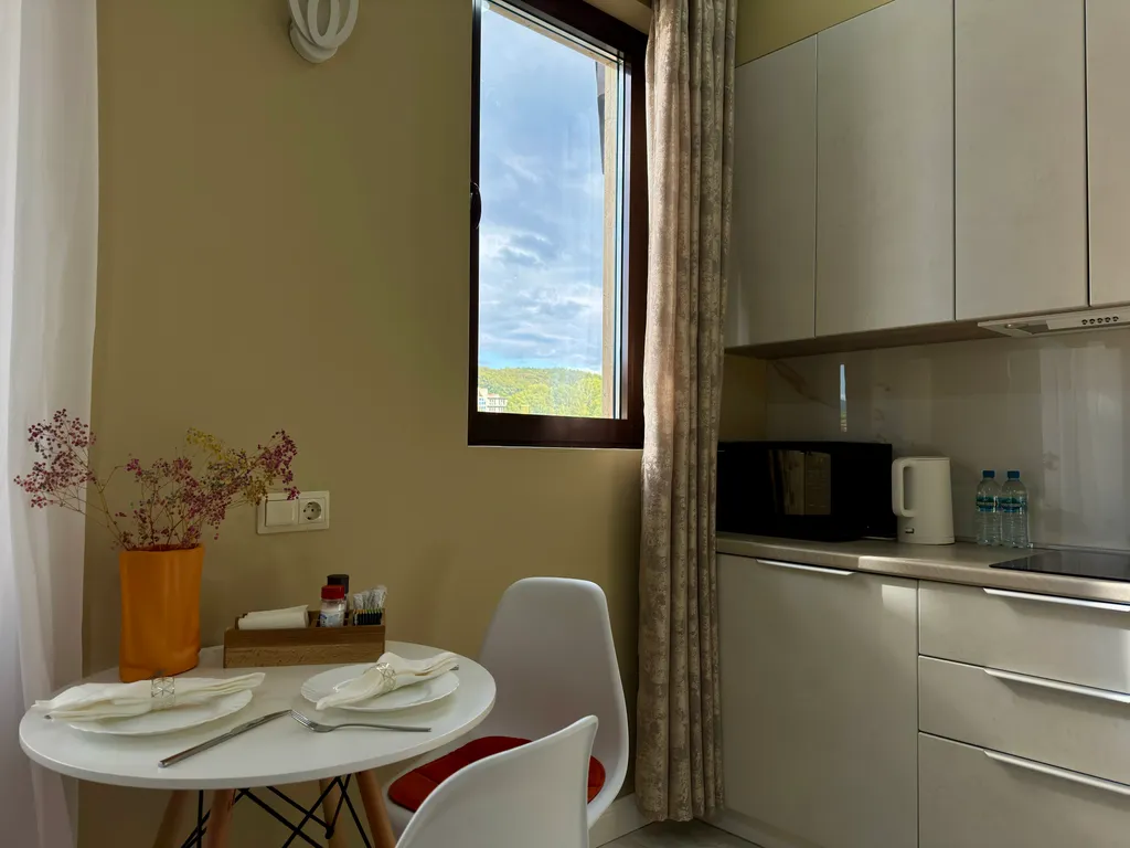 Стандарт студия с видом на горы