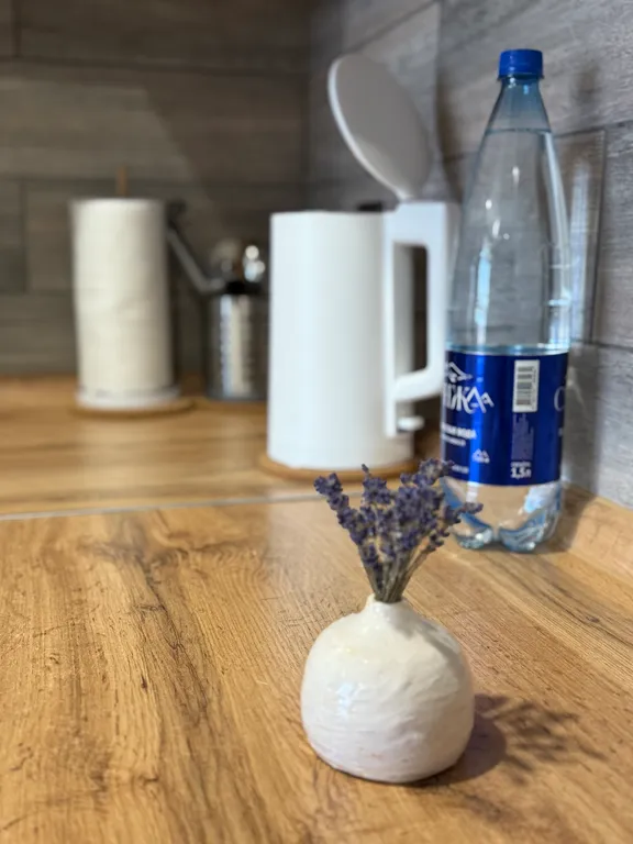 Стильная видовая студия в центре города