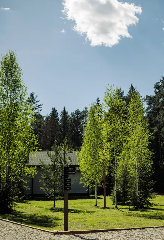 Вилла S/II с видом на вековой лес