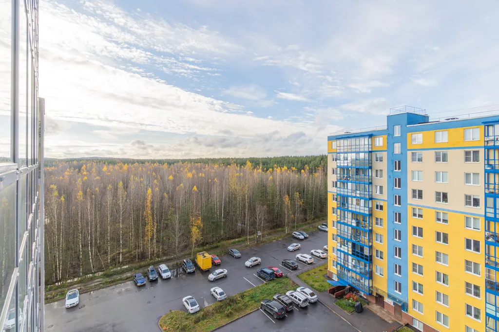 В лесной тиши