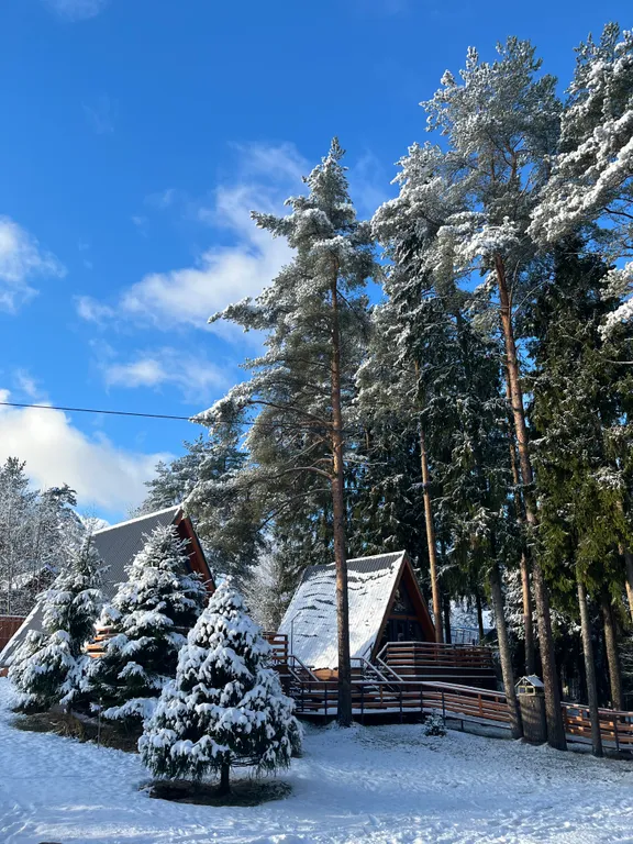 Коттедж Коттедж Шапкинские высоты — Тосно