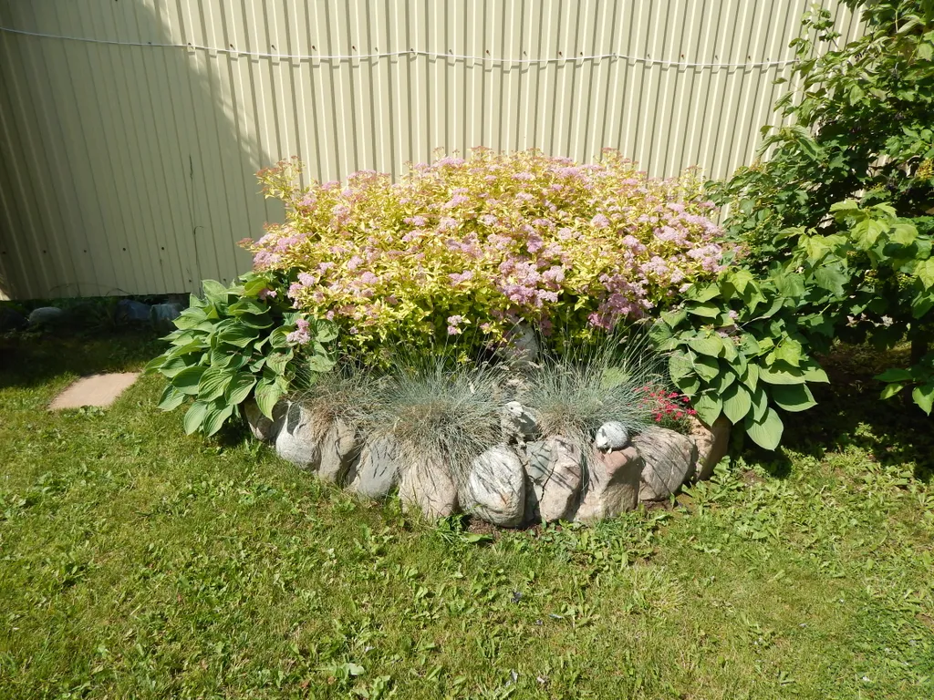 Домик с Сауной