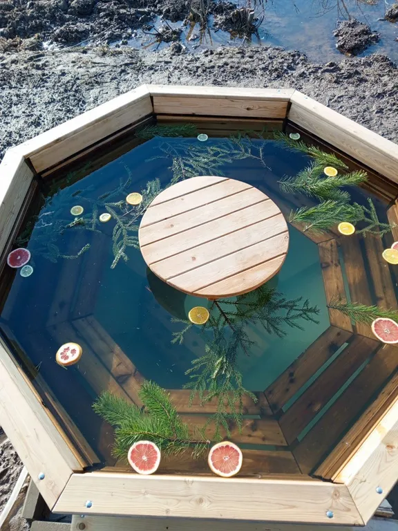 Дом с баней на дровах, банным чаном и большой гостиной