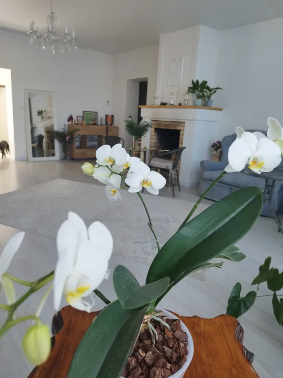 Коттедж Атмосферный дом с живым камином и баней на дровах — Ленина