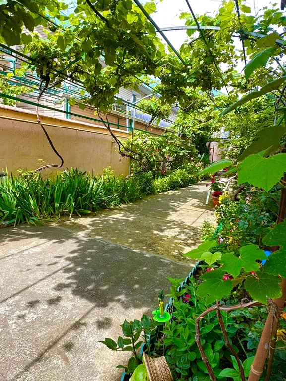 Квартира 1-комнатная Квартира — Адлер