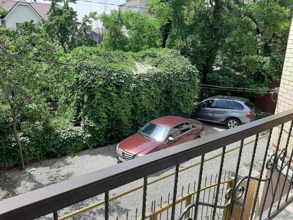 Уютная студия колибри