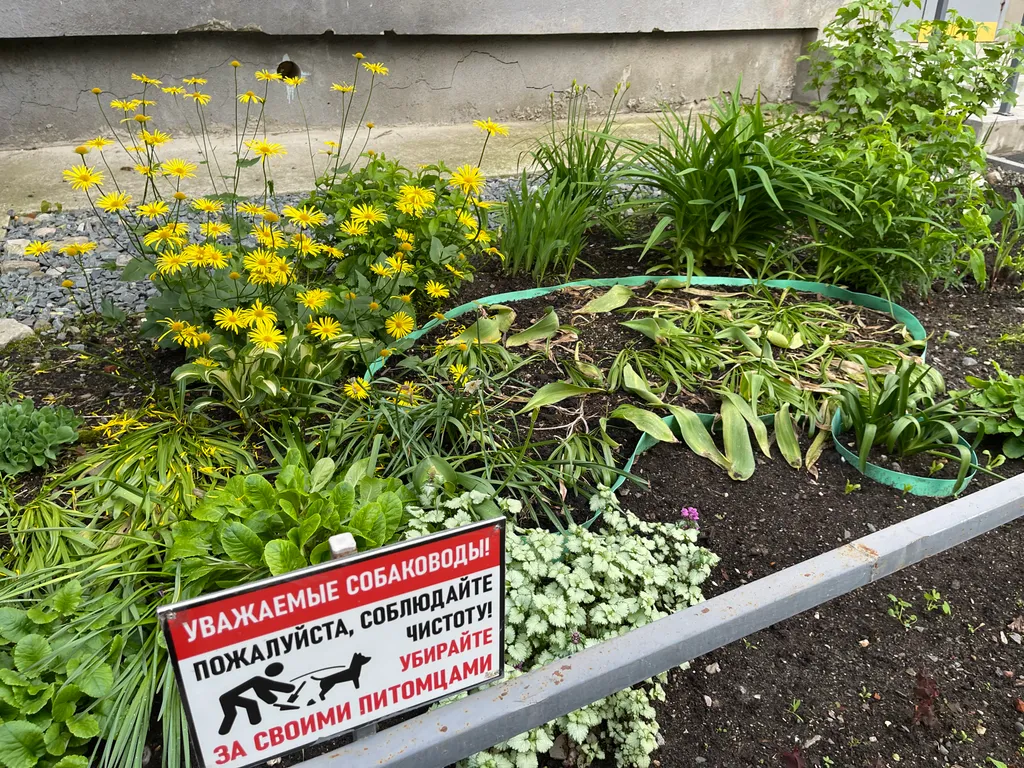 Та самая уютная квартира в центре, у реки
