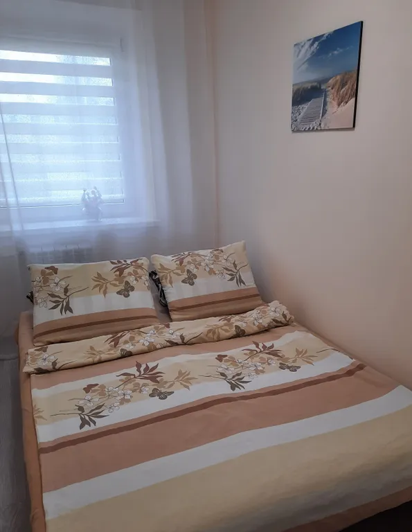 Квартира у Фридландских ворот