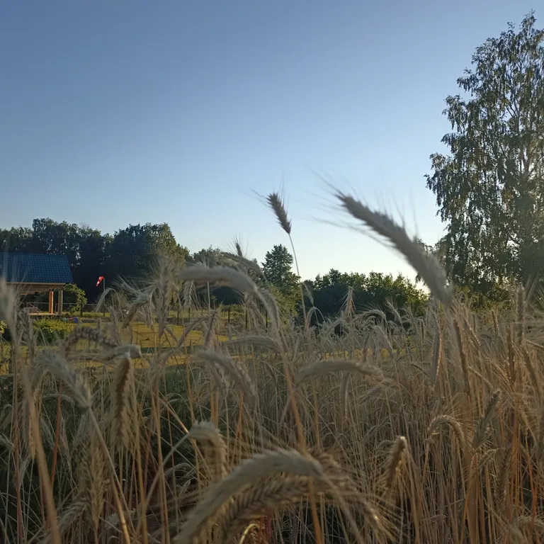 Дом на реке Оке