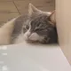 Наталия