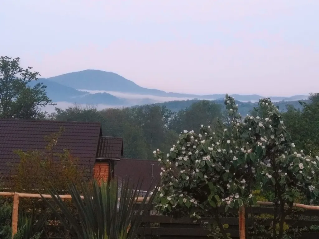 Гостевой дом Каньон Псахо