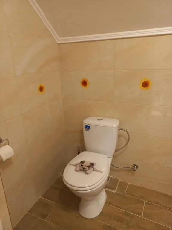 Уютный дом с баней