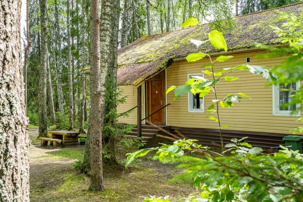 Коттедж 4-комнатный Дом — Луга