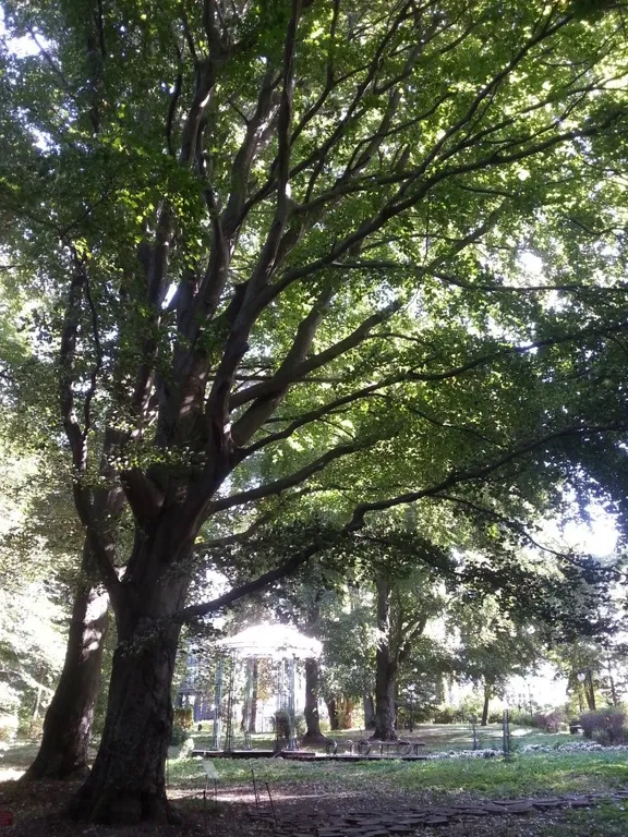 Уютная 2-комнатная квартира у моря