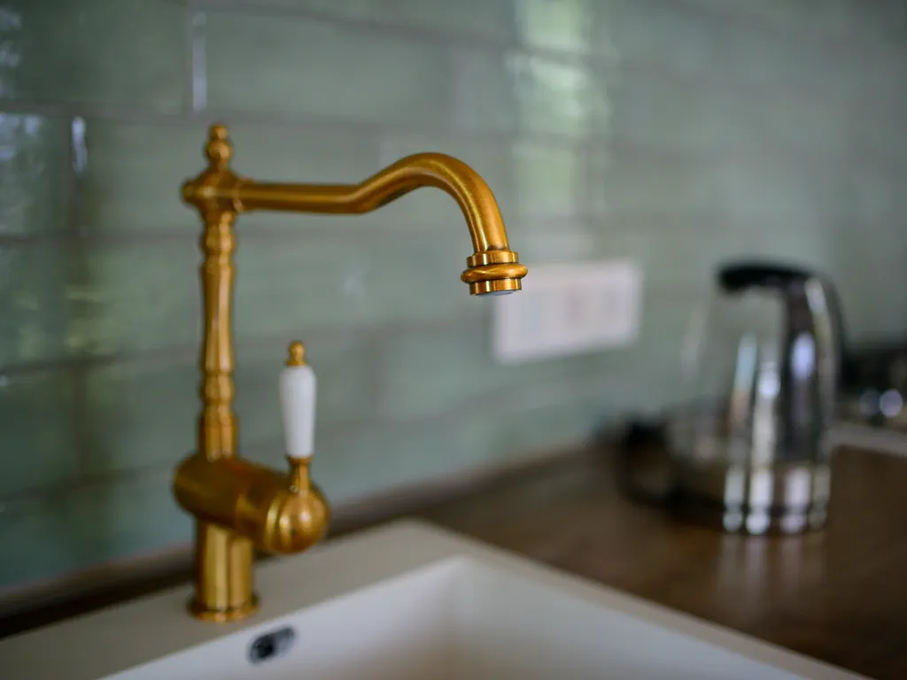 Коттедж в Коприно