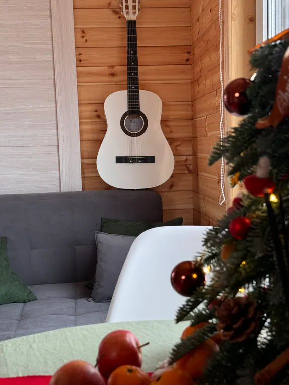 Модульный дом с панорамным видом