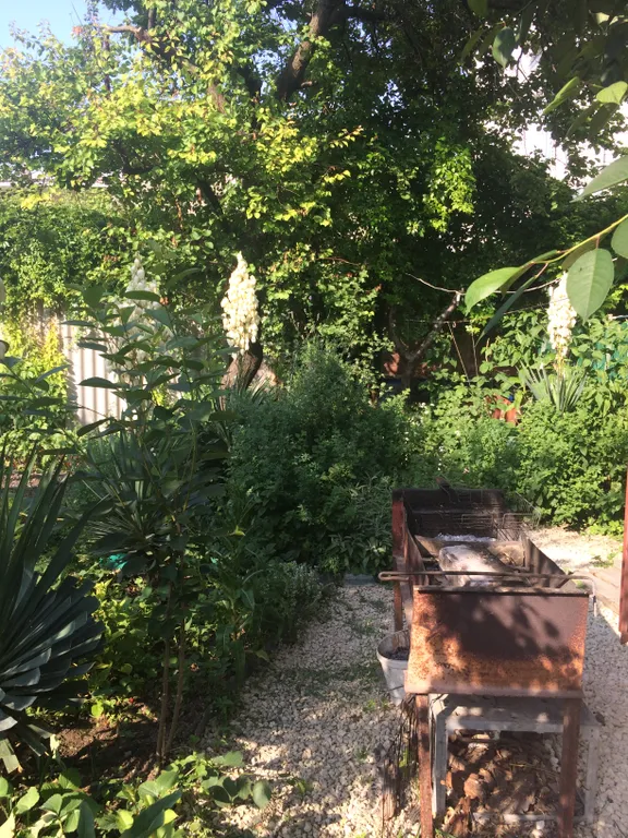 Коттедж 2-комнатный Дом — Анапа