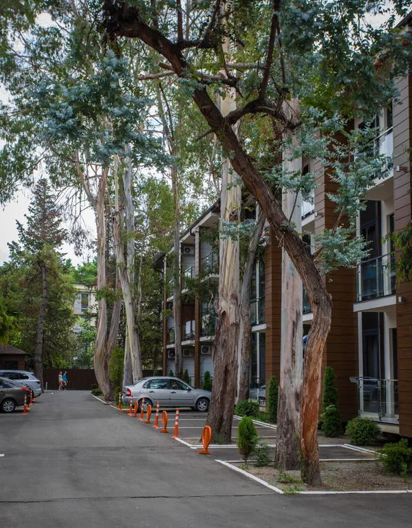 Квартира Апартаменты на первой линии — Адлер