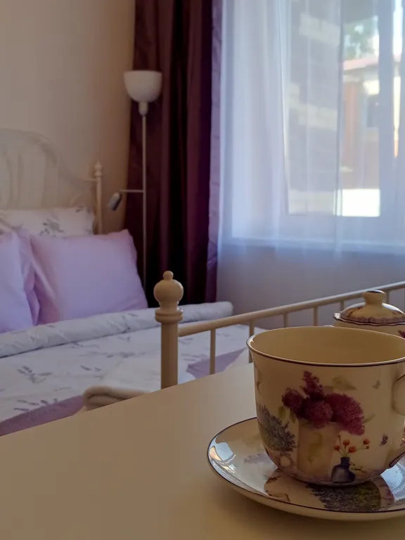 Квартира Квартира Студия рядом с НИИ Петрова — Песочный