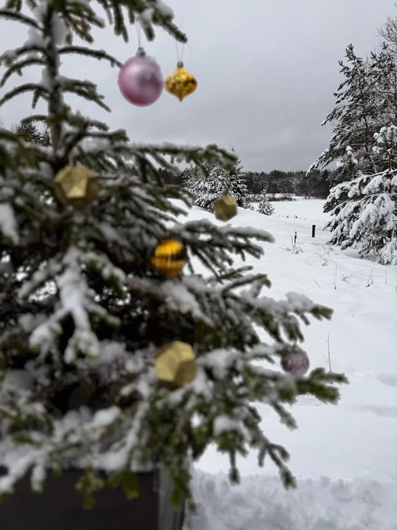 Семейный Дом