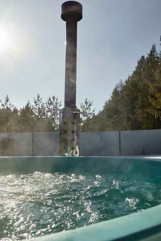 Дом с баней и купелью у леса