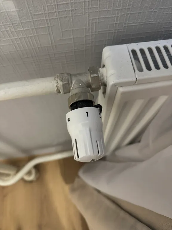 Квартира Уютная комната в поселке Песочный — Песочный