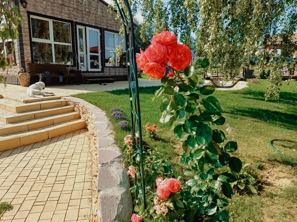 Дом 36m2 — чан, кухня, Wi-Fi