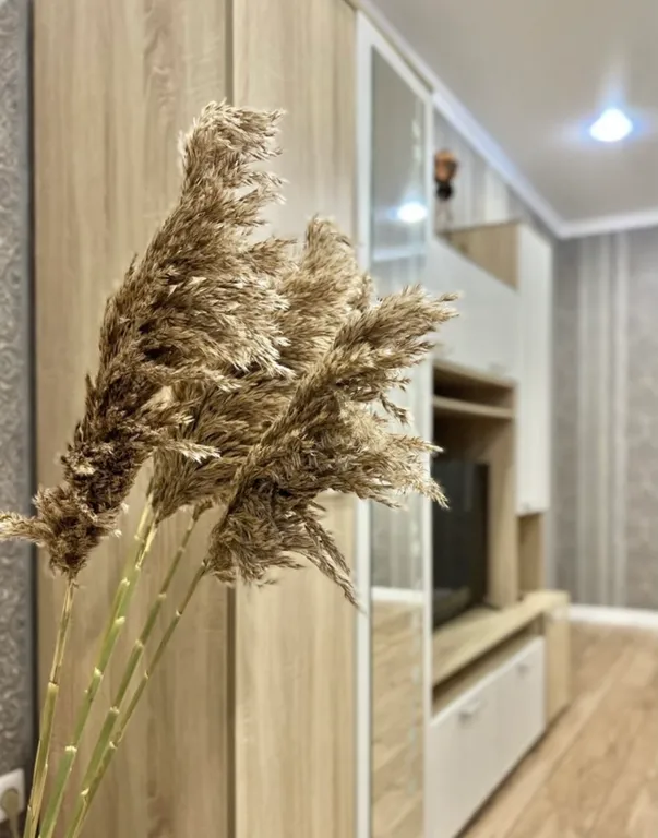 Уютная квартира в 10 минутах от центра