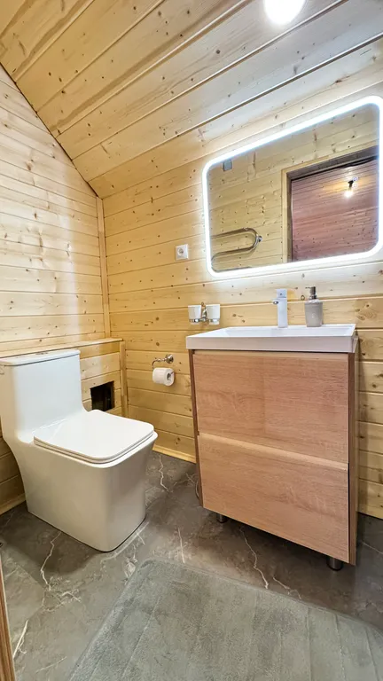 Дом для большой компании