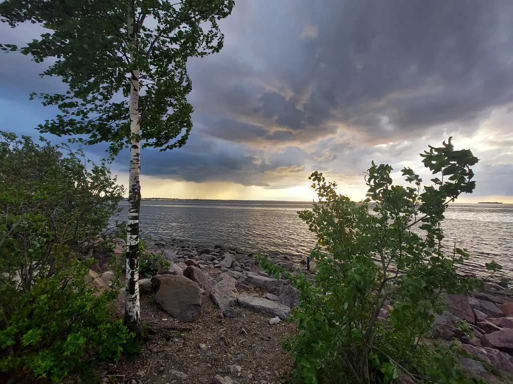 Просторные апартаменты с видом на Финский залив