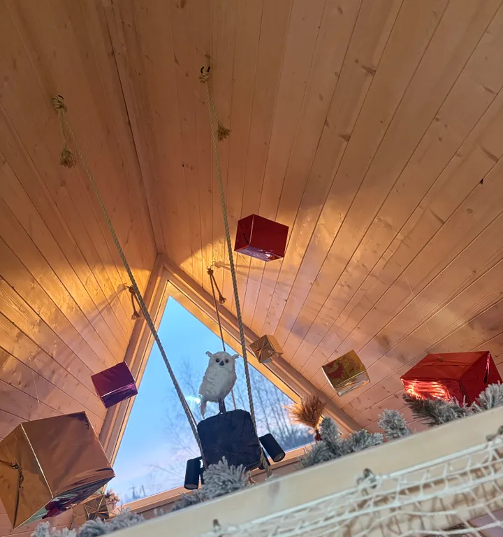 Домик у леса