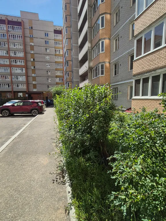 Квартира Лес в центре