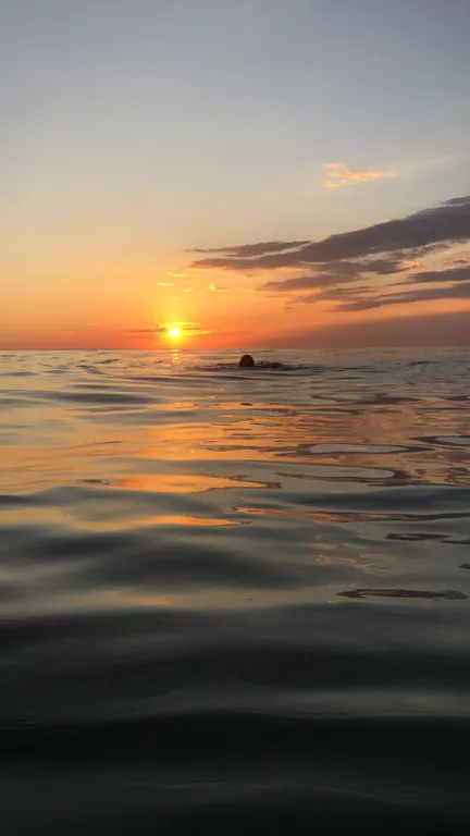 Квартира Апартаменты с видом на море — Махачкала