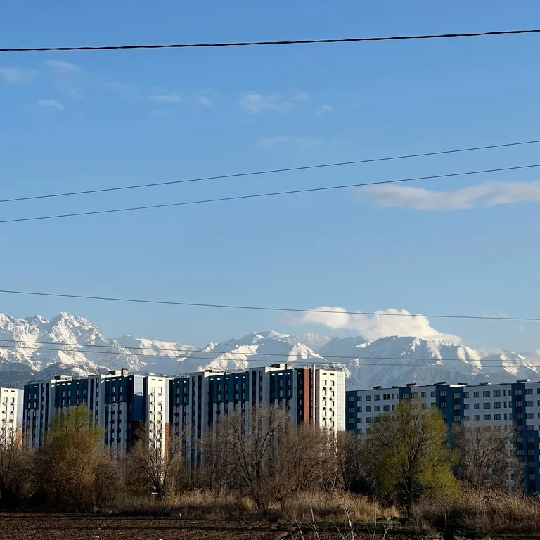 Апартамент комфорт+ класса