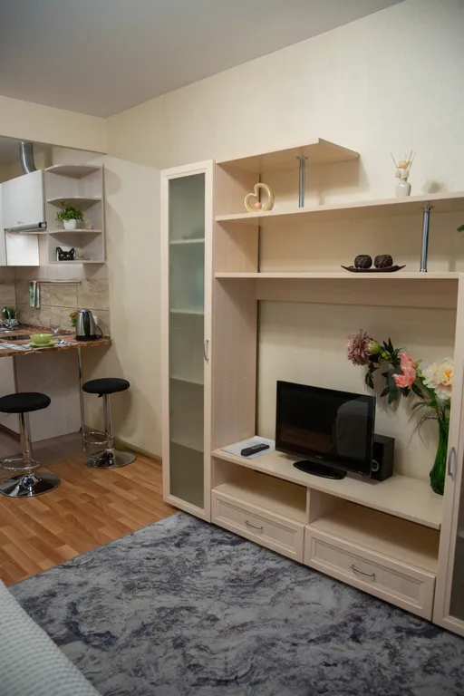 Уютная студия у метро Девяткино