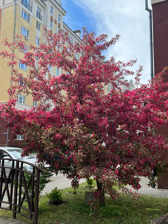 Квартира у моря