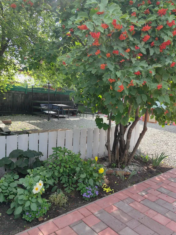 Семейный домик Лаки Хаус поселок Листвянка