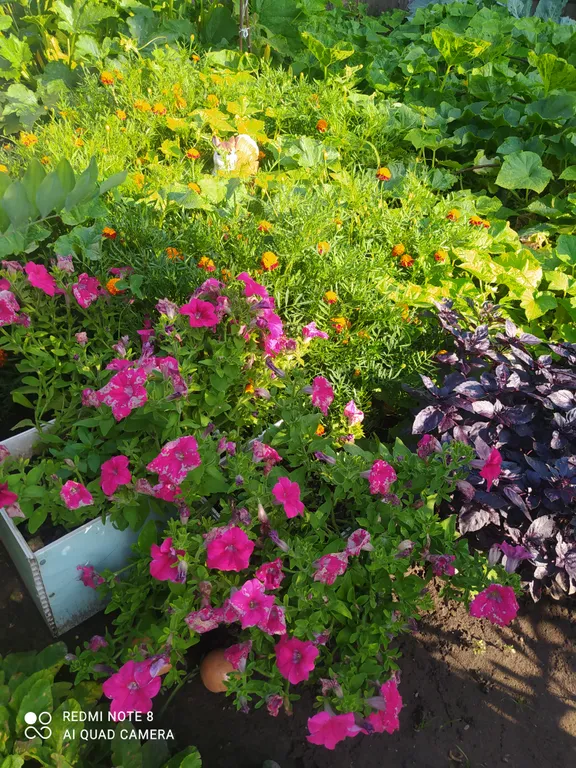 Уютная квартира рядом с монастырем, с отдельным входом  от соседей.