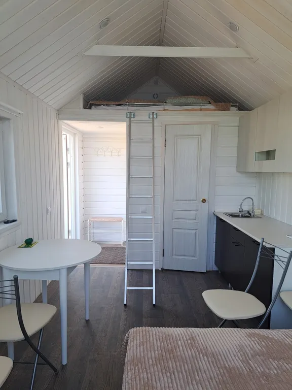 Голубой домик на Лисьей Горе