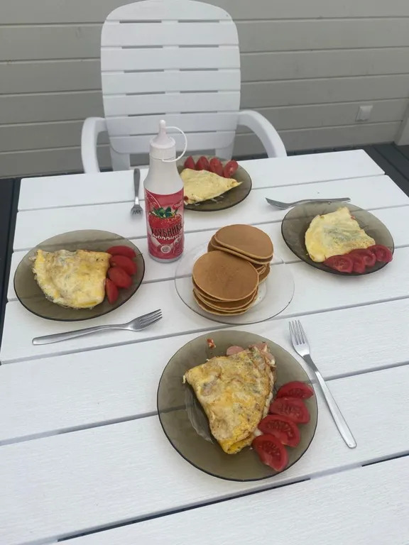 Модуль Дача-1