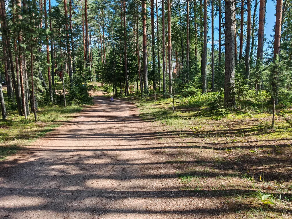 Коттедж Номер на Селигере у озера в сосновом бору — Турбаза Чайка