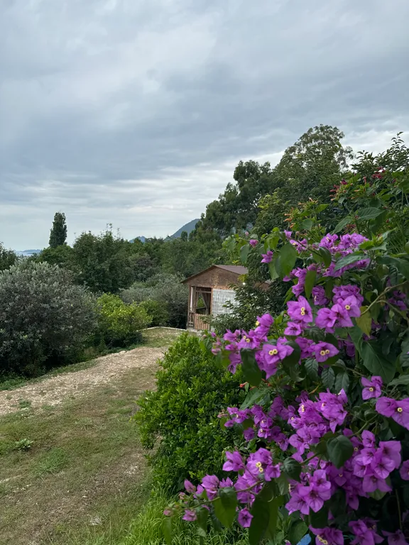 В гостях у Аиды