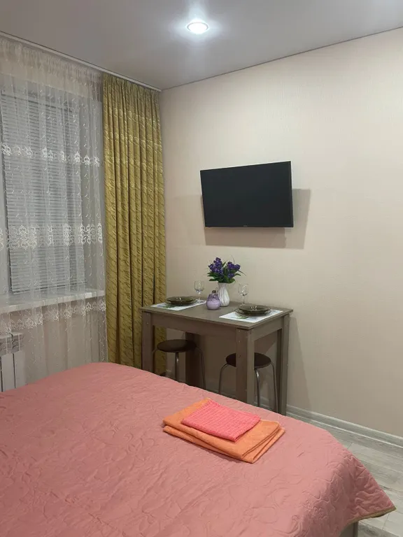 Чистая и уютная студия