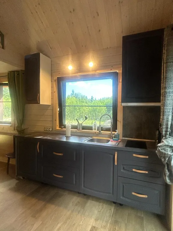 Уютный дом с прекрасным видом на лес и озеро