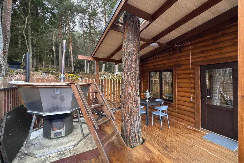 Дом сруб с чаном в лесу