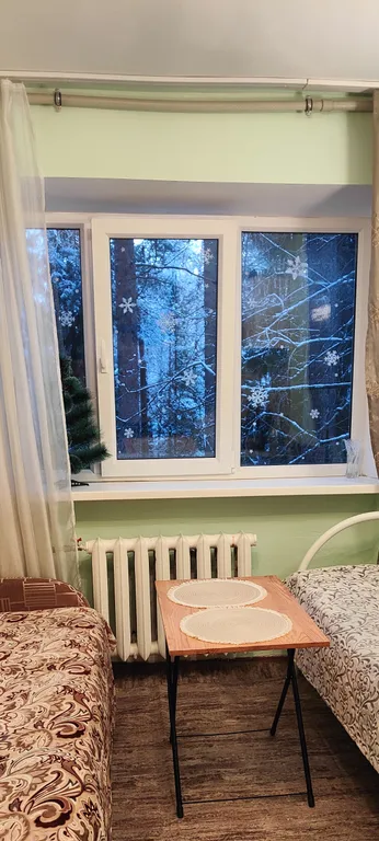 Студия в лесу