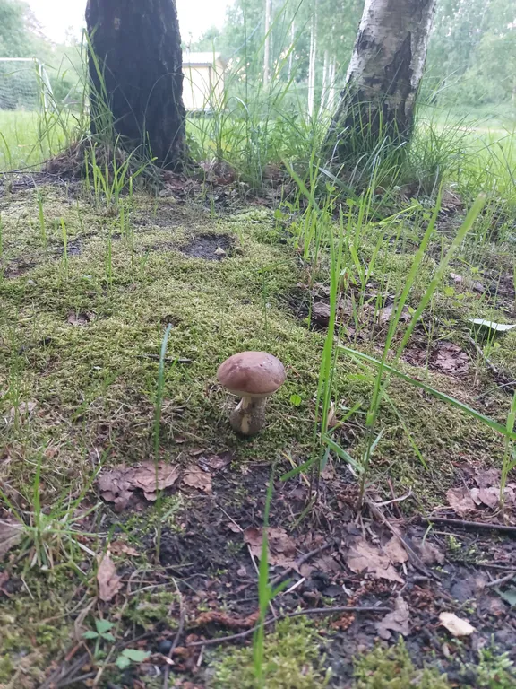 Квартира Апартаменты на 4х человек — Приморск