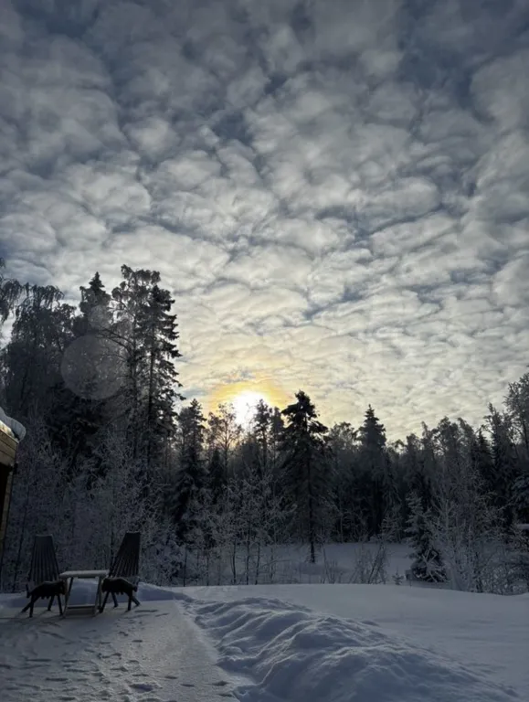 Уютнейший домик в лесу в черте города с панорамным окном, видом на лес