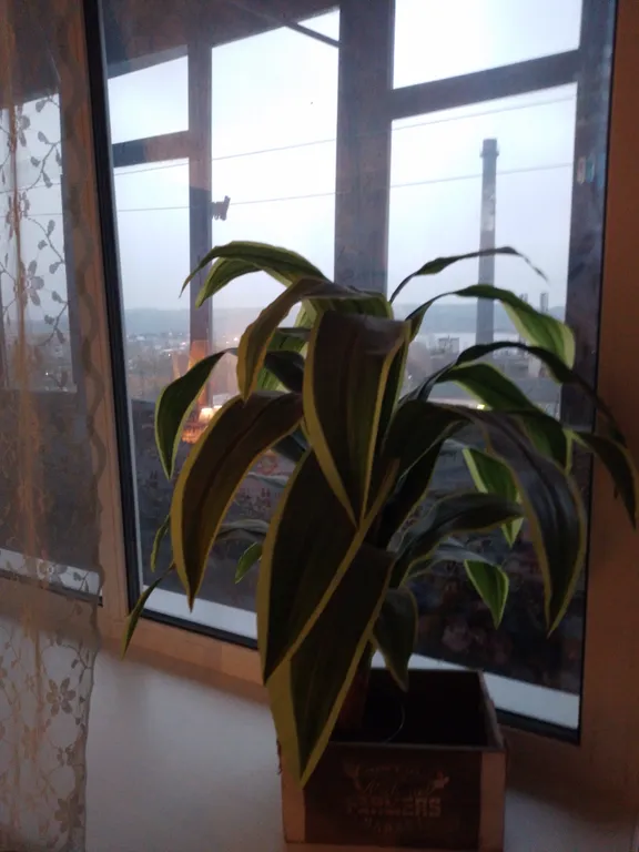 Уютная квартира в ретро стиле в центре города